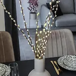 Apartment Antico