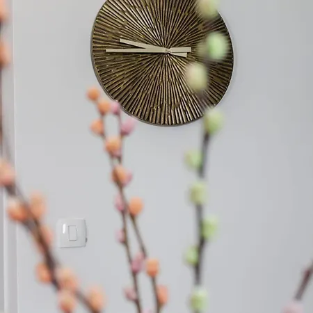 Apartman Antico *