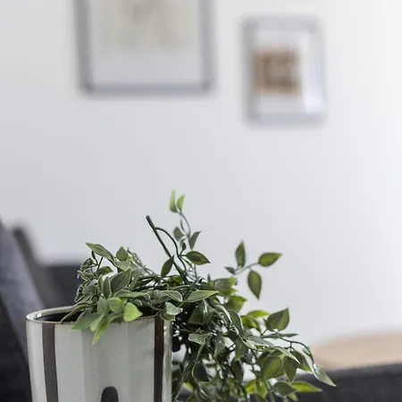 Apartman Antico *